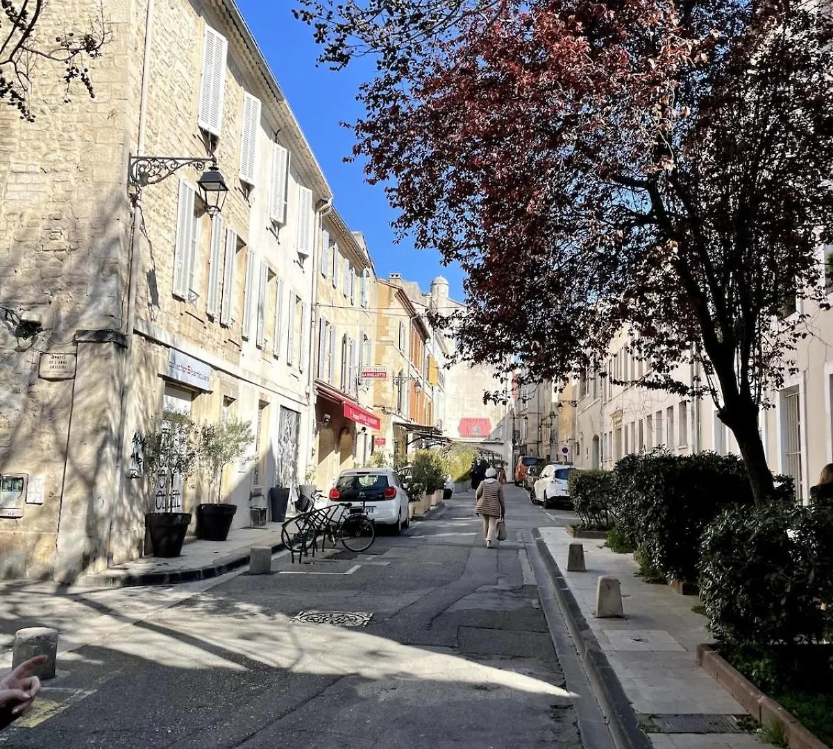 Luxury Town House Centre Arles Apartment