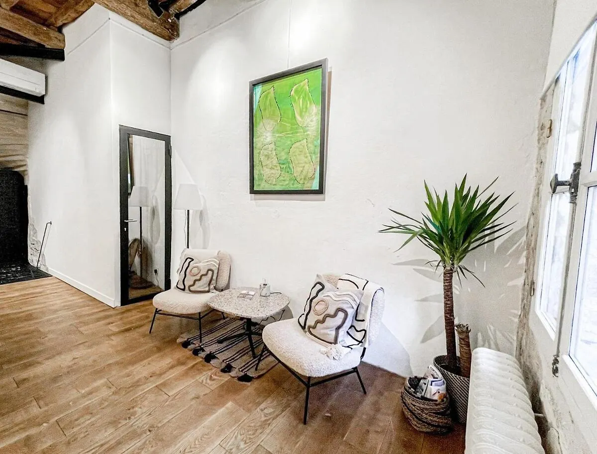 Luxury Town House Centre Arles Apartment