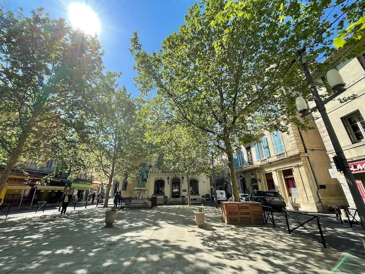 Luxury Town House Centre Arles Apartment
