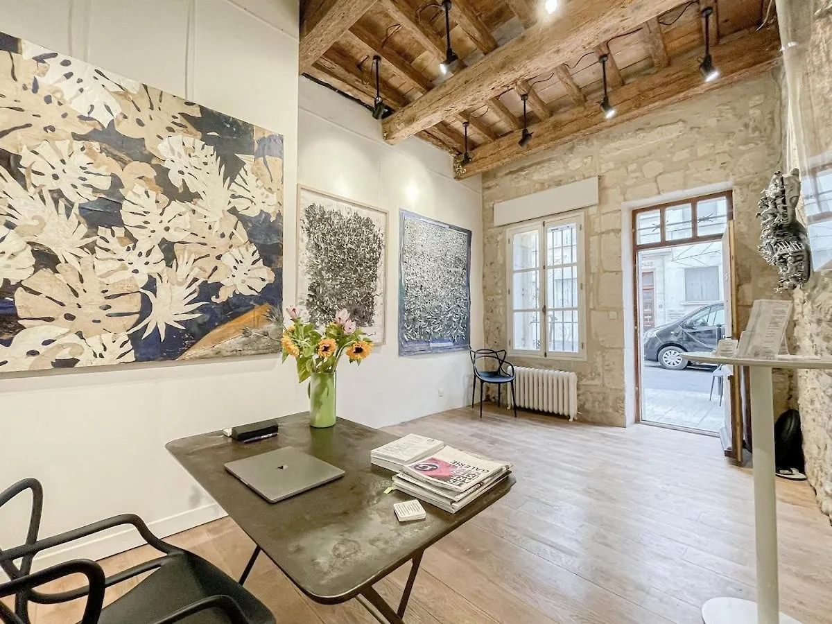 Luxury Town House Centre Arles Apartment France